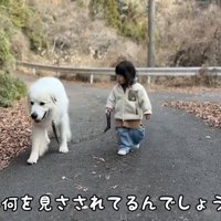 嬉しそうな顔のシュシュちゃん