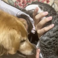 入念な匂いチェック中。