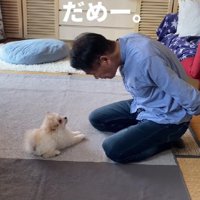 優しく注意すると…
