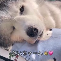 首を上げられない