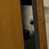 「先に行かないで」