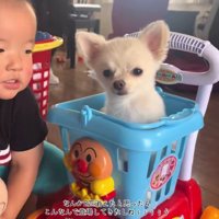 困惑の表情にクスッ