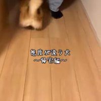 あずきちゃんの態度の違い