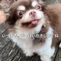 これからは穏やかに過ごしてね