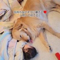 みんなでお昼寝