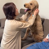 犬を優しく撫でてあげるおばあちゃん