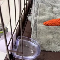 「空いてるよ？」