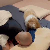 枕