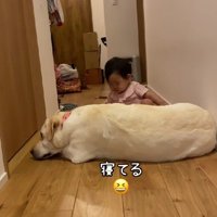 またまた廊下が封鎖されてる