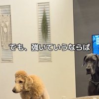 強いて言うなら…