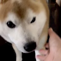 思いやりいっぱい