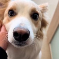 とぼけるソラくん