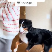 追いかけるリクくん