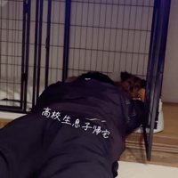 体ごと突っ込んでます