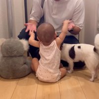 パパを引き留める