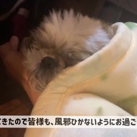 幸せそう♡