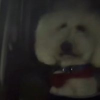 「全然見てませんけど…」