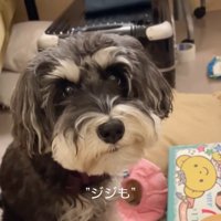 「反省してるよね？」と聞いたら…