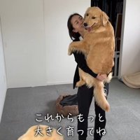 ちあちゃん＆ひまわりちゃんの成長7