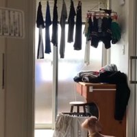 洗濯物の部屋に来たりゅっくちゃん
