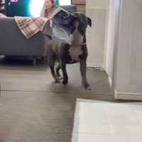 手帳を奪って大喜び