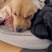 困っている姿も可愛い！