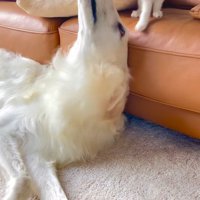 微笑ましいふれあい♪