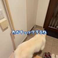 パパが隠れた時のれお君2