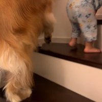 階段を登る男の子とラビーくん3