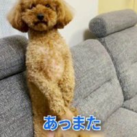 手を出してあやすと…