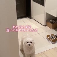「たいへんなことです！」