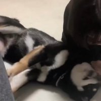 「こうなったら力技だ！」
