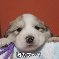 昔から甘えん坊