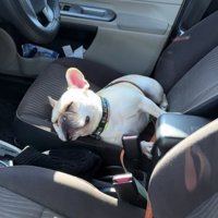 一瞬で寝落ち。