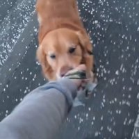 お家に強制連行！