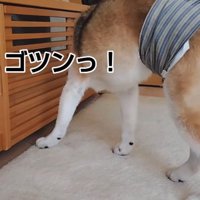 頭をぶつけても…