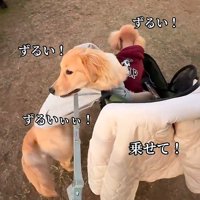 「一緒に乗りたい！」