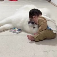 赤ちゃんとのんびり