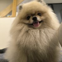 ニコニコ