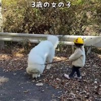 たった3歳だけど…