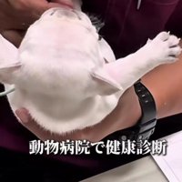 飛んでるみたい♪
