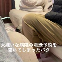 動物病院へ電話したら…