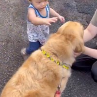 男の子が手を伸ばして近づく様子