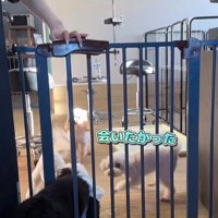 はるちゃん＆なつちゃんのお迎え7