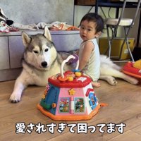 犬のそばに座る赤ちゃん