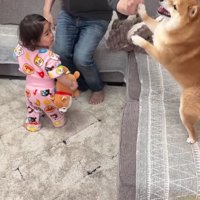 パパとハイタッチ
