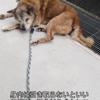 親戚も引き取りを拒否