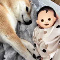 赤ちゃんの隣に寝転がる犬