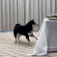 ウキウキが止まらない♪