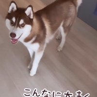 るい君の成長記録⑩